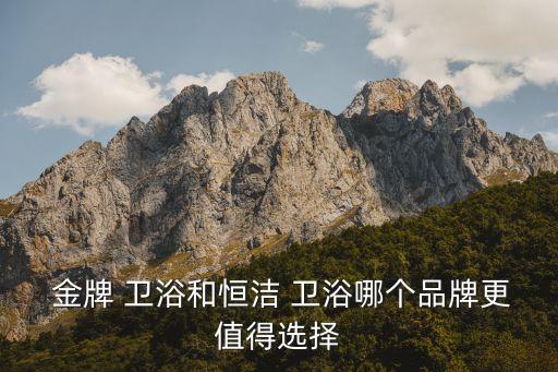 金牌衛(wèi)浴rf2158,老家裝修我把馬桶換成智能馬桶超好用