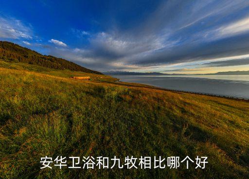 安華衛(wèi)浴和九牧相比哪個(gè)好