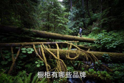 青島金牌衛(wèi)浴,櫥柜行業(yè)誠信服務(wù)十大示范品牌