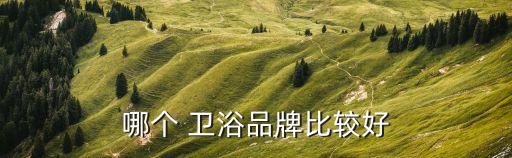 哪個 衛(wèi)浴品牌比較好