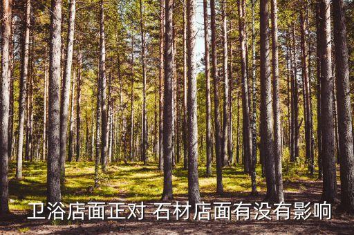 石材衛(wèi)浴,走進(jìn)衛(wèi)生間看看衛(wèi)生用品包括什么?