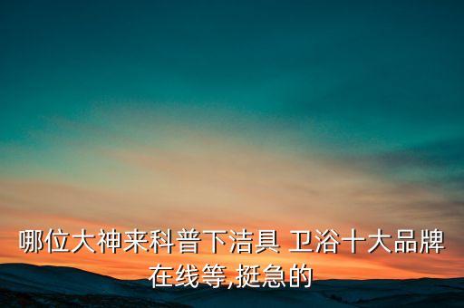 哪位大神來科普下潔具 衛(wèi)浴十大品牌在線等,挺急的