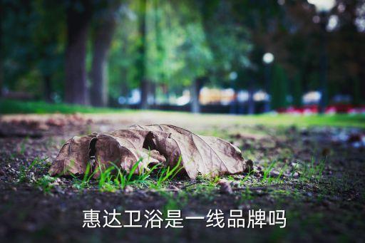 惠達(dá)衛(wèi)浴是一線品牌嗎