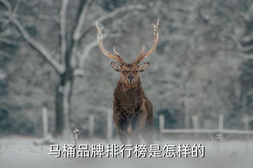 恒一衛(wèi)浴是品牌嗎,本地衛(wèi)浴產(chǎn)品排名第幾