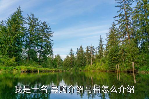 我是一名 導(dǎo)購介紹馬桶怎么介紹