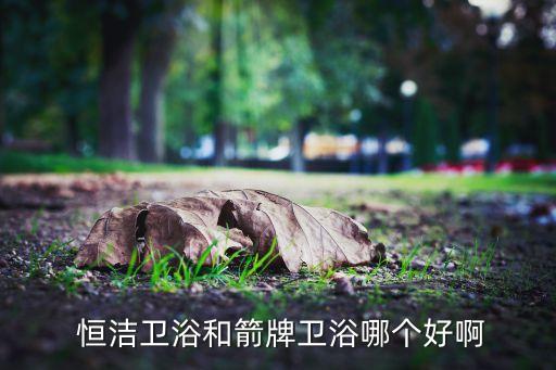 恒潔衛(wèi)浴花灑價(jià)格,恒潔衛(wèi)浴口碑很好箭牌衛(wèi)浴質(zhì)量很好