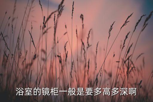 浴室的鏡柜一般是要多高多深啊