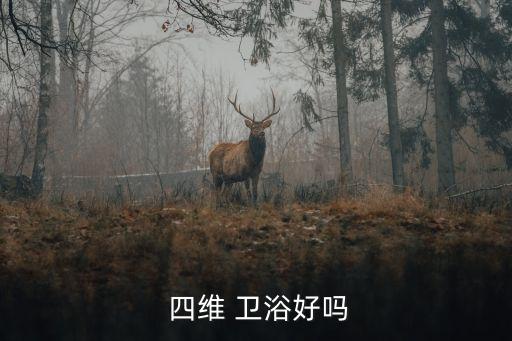  四維 衛(wèi)浴好嗎