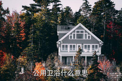 公用衛(wèi)浴什么意思