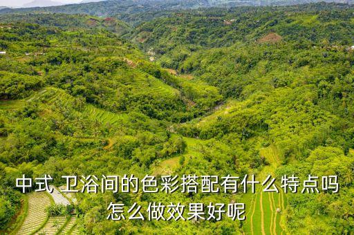 中式 衛(wèi)浴間的色彩搭配有什么特點(diǎn)嗎怎么做效果好呢