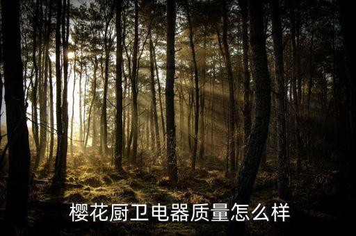  櫻花廚衛(wèi)電器質(zhì)量怎么樣