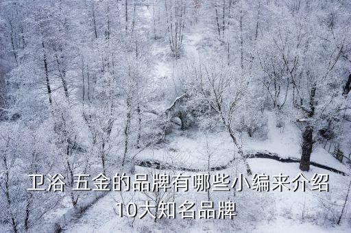 衛(wèi)浴五金店,-1/有時衛(wèi)浴飾品裝飾品對-四川市場還不錯!