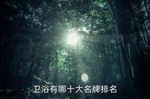 衛(wèi)浴有哪十大名牌排名