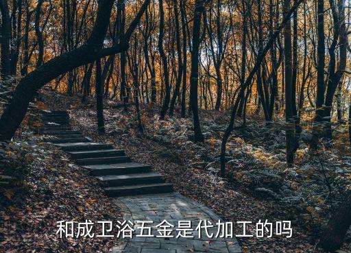 和成衛(wèi)浴五金是代加工的嗎