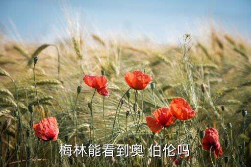梅林能看到奧 伯倫嗎