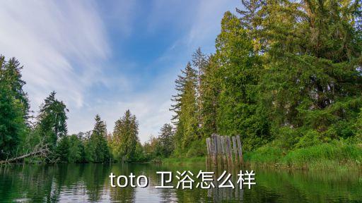 成都toto衛(wèi)浴,日本馬桶品牌toto洗潔精怎么用?