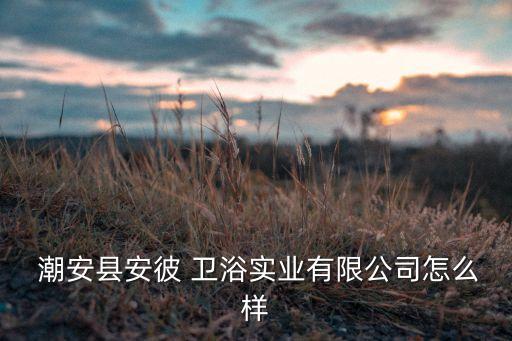 廣東潮安衛(wèi)浴,潮州新銳衛(wèi)浴有限公司注冊資本屬于一般
