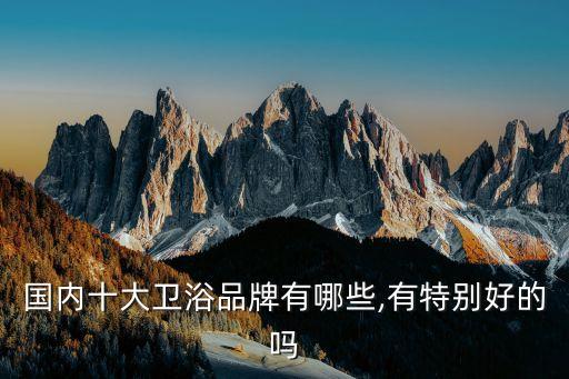 國內(nèi)十大衛(wèi)浴品牌有哪些,有特別好的嗎