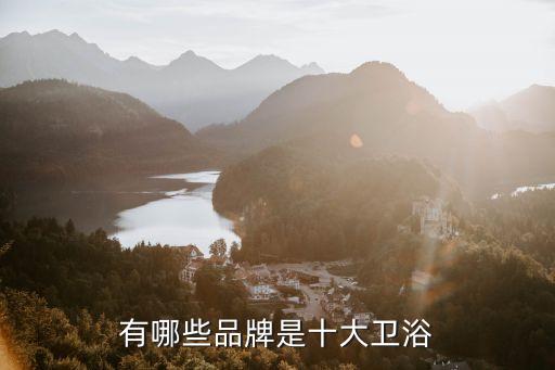 時龍衛(wèi)浴 簡介,選購時盡量選擇知名度高、品牌好的衛(wèi)浴產(chǎn)品