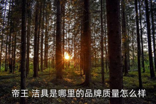 帝王潔具大衛(wèi)浴,中國衛(wèi)浴十大品牌之一帝王潔具享譽(yù)國內(nèi)外
