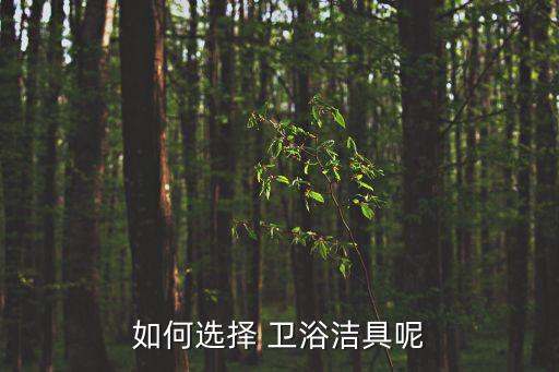 冠軍衛(wèi)浴柜子圖片,衛(wèi)生間如何選擇合適的浴室柜?