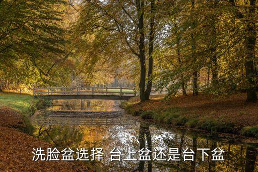 洗臉盆選擇 臺(tái)上盆還是臺(tái)下盆