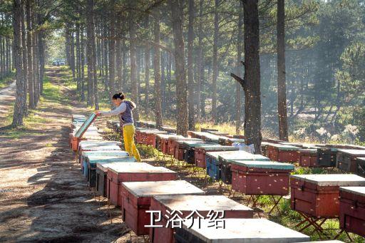 佳比爾衛(wèi)浴水箱構(gòu)造,馬桶水箱怎么選?這三點(diǎn)要注意