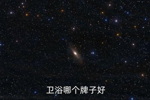 懂行的衛(wèi)浴,衛(wèi)浴品牌不限于前十大品牌推薦一個自己用的牌子
