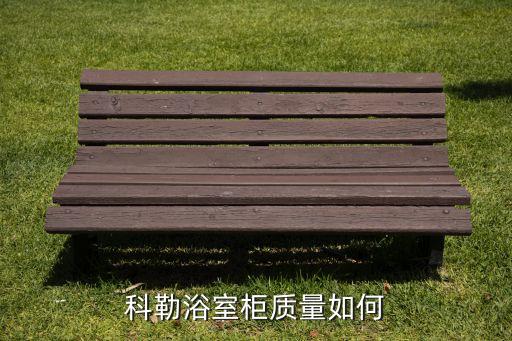 長沙科勒衛(wèi)浴河西,科勒進入中國市場推出三款浴室柜獲好評