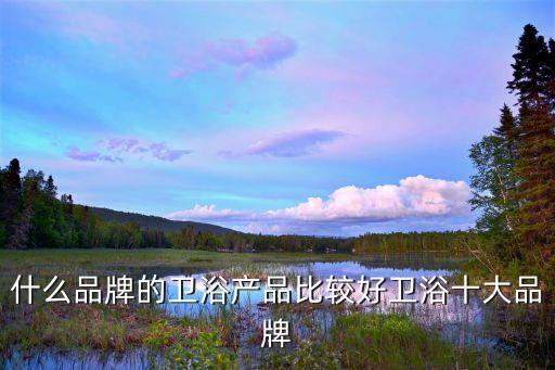 什么品牌的衛(wèi)浴產(chǎn)品比較好衛(wèi)浴十大品牌