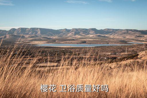  櫻花 衛(wèi)浴質(zhì)量好嗎