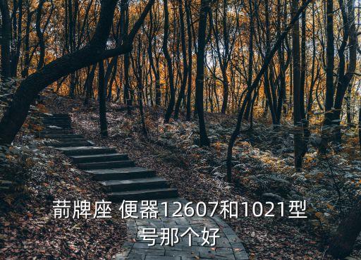 葥牌座 便器12607和1021型號那個好