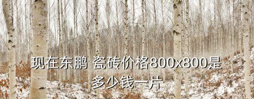 衛(wèi)浴瓷磚價錢,廣東董鵬控股有限公司陶瓷瓷磚標(biāo)價80元