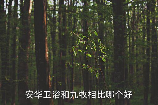 溫州九牧衛(wèi)浴,衛(wèi)浴行業(yè)的發(fā)展趨勢