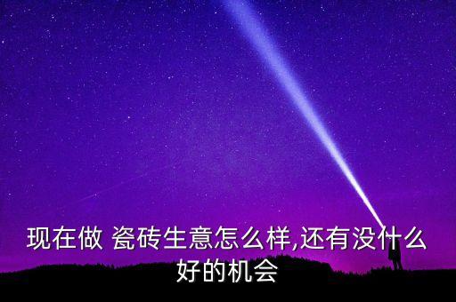 衛(wèi)浴店帶賣瓷磚怎么樣,瓷磚知多少?問(wèn)與答（13）