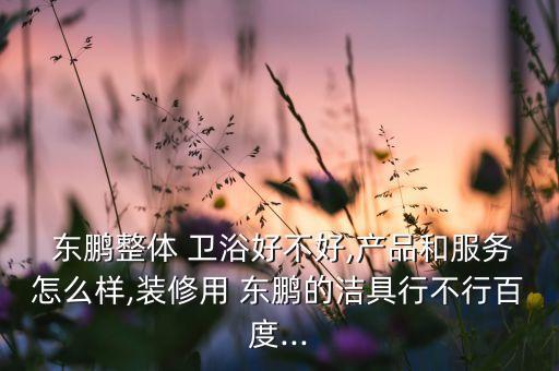 東鵬衛(wèi)浴河南總代理,關(guān)于東鵬衛(wèi)浴你必須知道的事情