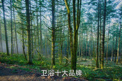  衛(wèi)浴十大品牌