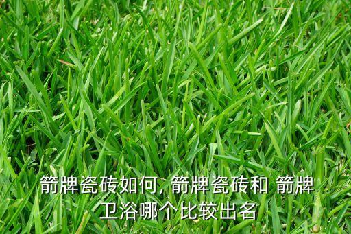  箭牌瓷磚如何, 箭牌瓷磚和 箭牌 衛(wèi)浴哪個(gè)比較出名