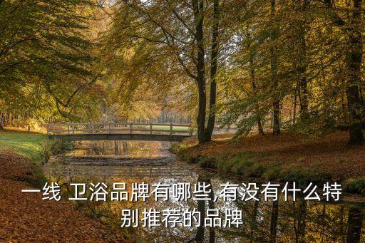 一線 衛(wèi)浴品牌有哪些,有沒有什么特別推薦的品牌