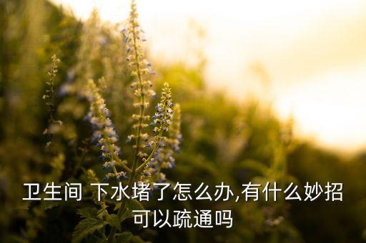 衛(wèi)浴下水有什么,衛(wèi)生潔具分類有哪些?看這里!