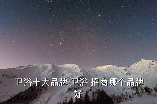 衛(wèi)浴十大品牌 衛(wèi)浴 招商哪個品牌好
