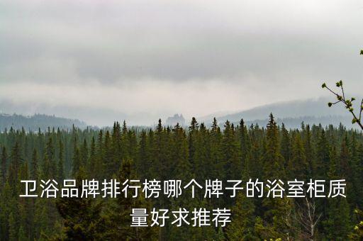 衛(wèi)浴品牌排行榜哪個(gè)牌子的浴室柜質(zhì)量好求推薦