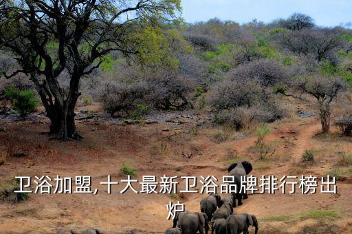 南寧衛(wèi)浴加盟,十大最新衛(wèi)浴品牌排行榜出爐