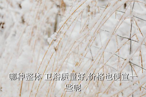 哪種整體 衛(wèi)浴質(zhì)量好,價(jià)格也便宜一些呢