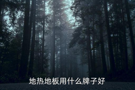 地?zé)岬匕逵檬裁磁谱雍? class=