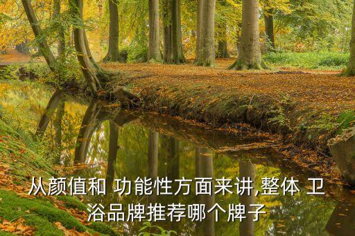 功能衛(wèi)浴,整體衛(wèi)浴是不錯選擇裝修衛(wèi)生間可優(yōu)先考慮