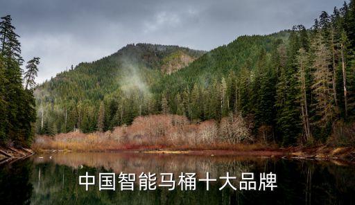 智能化衛(wèi)浴,智能馬桶品牌排行榜出爐前十名