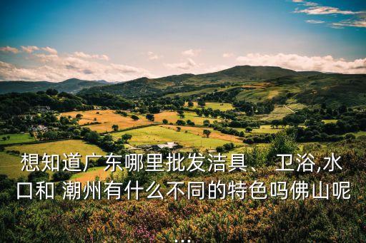 想知道廣東哪里批發(fā)潔具、 衛(wèi)浴,水口和 潮州有什么不同的特色嗎佛山呢...