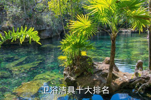 衛(wèi)浴潔具十大排名