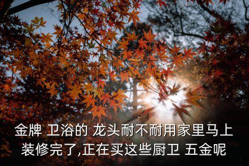 金牌 衛(wèi)浴的 龍頭耐不耐用家里馬上裝修完了,正在買這些廚衛(wèi) 五金呢
